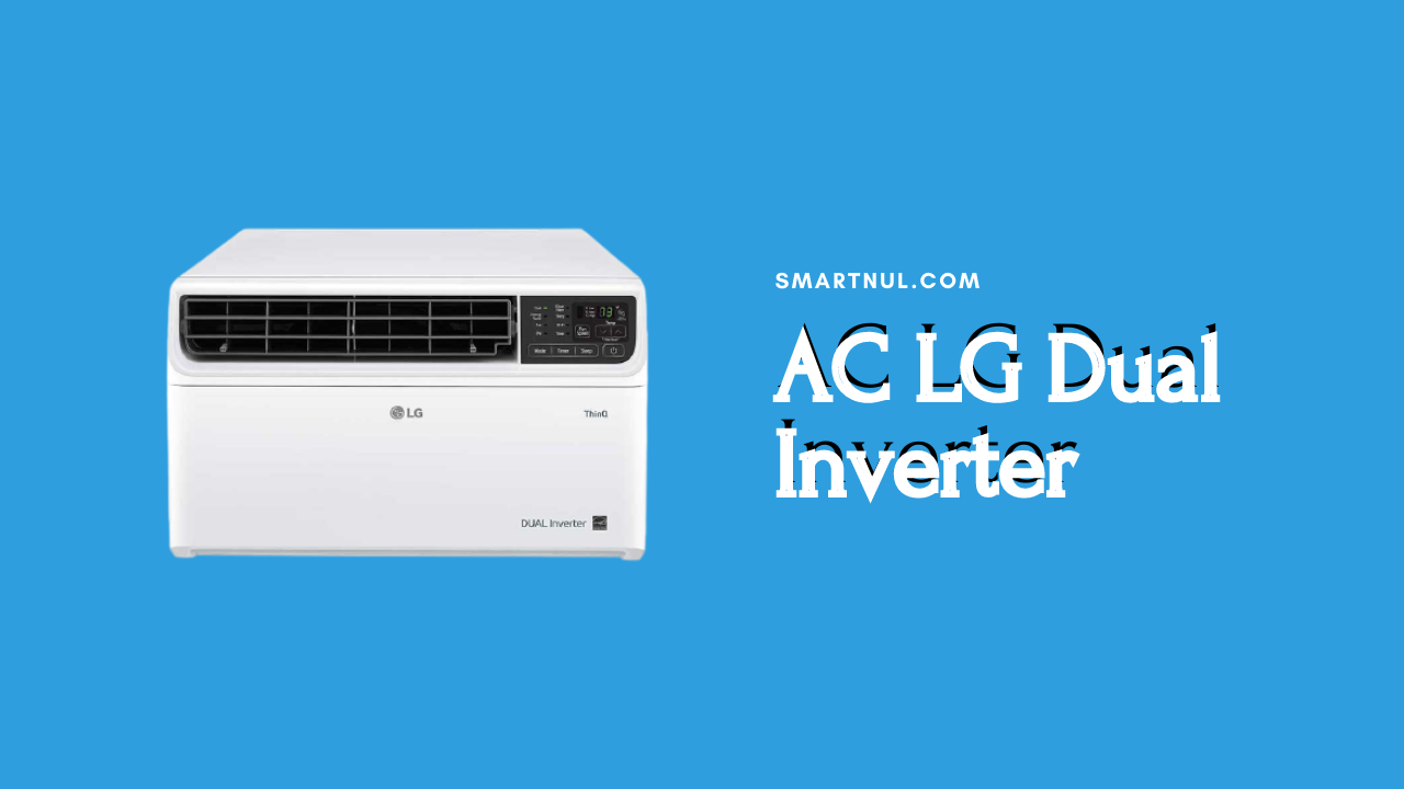 ac lg dual inverter