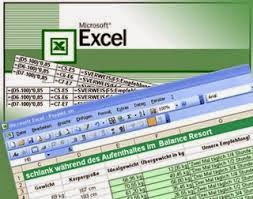 http://www.mgmtutorial.com/course/excel-consulting-services/