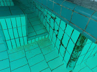 piscina com limbo, algas