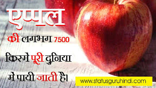 Apple Facts in Hindi | Health Benefits of Apple in Hindi | Status Guru Hindi