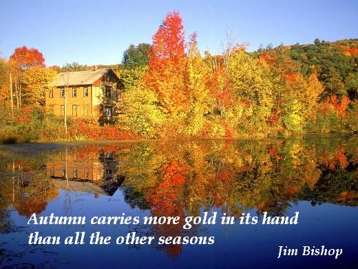 Funny Autumn Quotes2