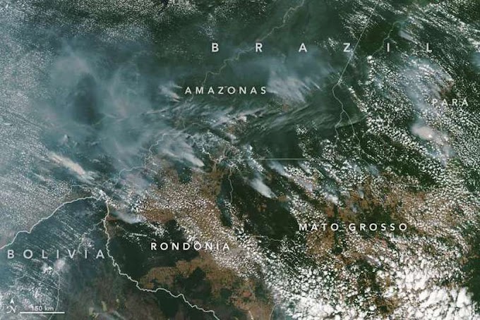 Incêndios da Amazônia estão espalhando uma crise no Brasil e no mundo