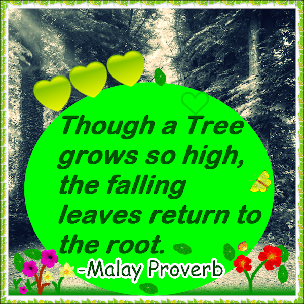 Malaysian Tree Proverb