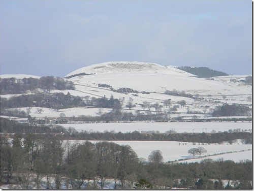 Jan 2011snowfall 017