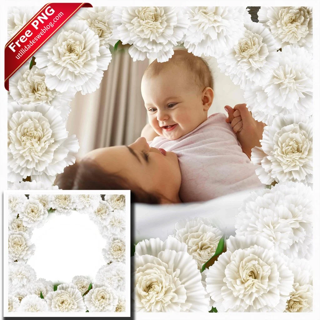 marco para fotos con flores de claveles blancos en png con fondo transparente para descargar gratis