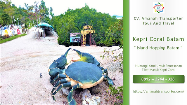 Kepri Coral Day Trip