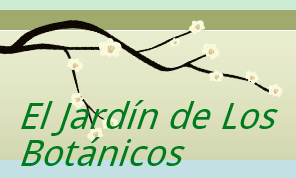 Proyecto de trabajo del aula de Alustante: