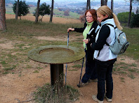 Taula d'orientació a la sortida del Bosc de la Torre d'en Malla. Autor: Carlos Albacete