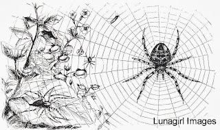 vintage spider from Lunagirl Images