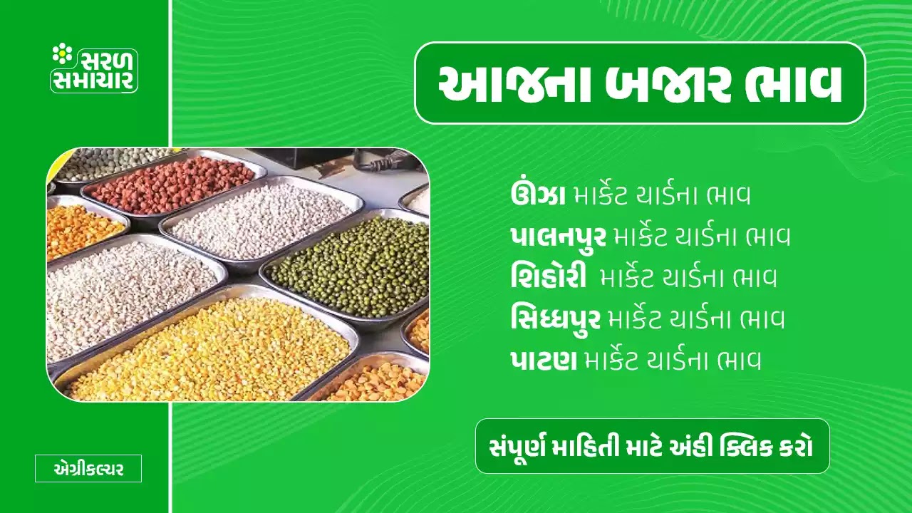 Gujarat Bazar Bhav | ગુજરાત માર્કેટયાર્ડ બજાર ભાવ