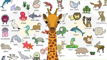 Animal in English
