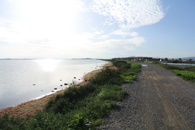 DSC_4040
