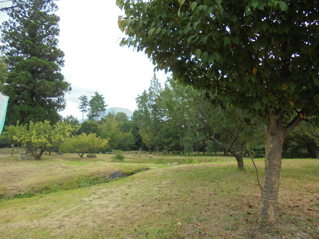 伯耆町 交流の森