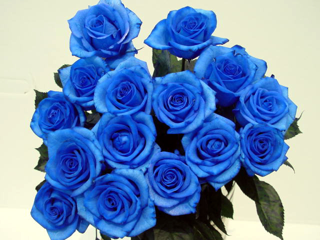 types of flowers blue Blue Rose Meaning Flower | 640 x 480