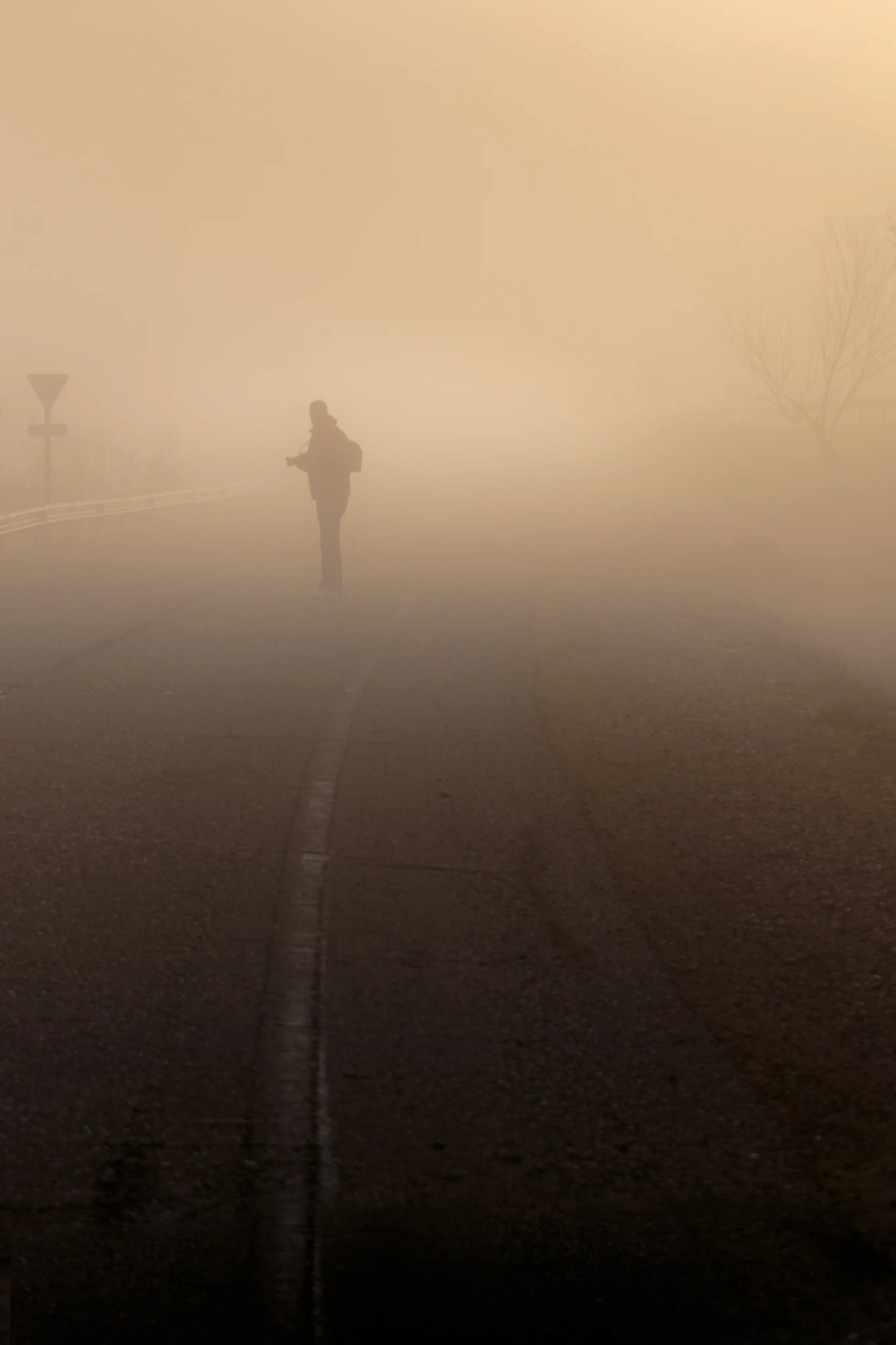 Antonio José Muro | 023/365 | Fotógrafo en la niebla
