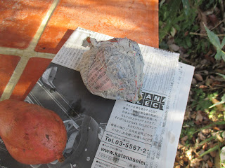 有野実苑オートキャンプ場　焼き芋