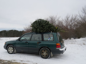 Christmas Tree on car