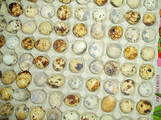 MASAKAN WARISAN: ACAR TIMUN TELOR BURUNG PUYUH