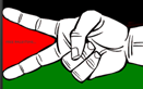 Solidarité Palestine