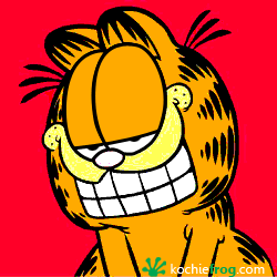 Animasi  Kucing LUCU  Garfield Bergerak Gambar DP  WA  Bergerak