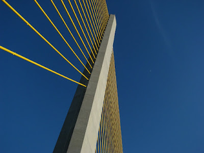 sunshine skyway bridge disaster. the Sunshine Skyway Bridge