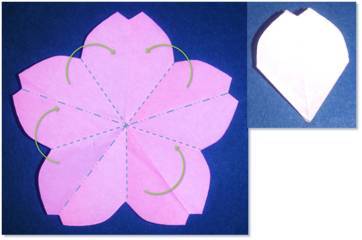 Cukup 5 Menit Cara Membuat Bunga  Sakura  dari Kertas  