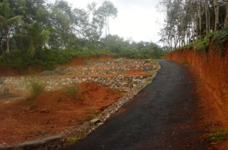 Trivandrum plots-5 cent near Technopark