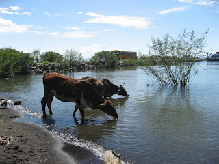 Isla de Ometepe, Nicaragua