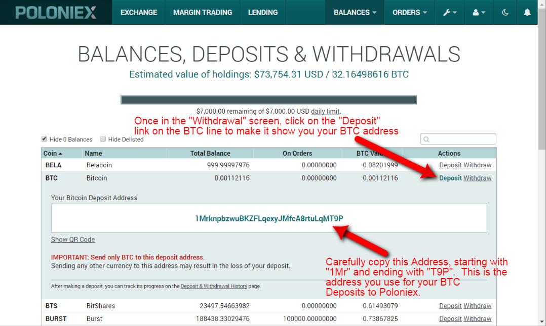 can you buy bitcoin on poloniex with usd