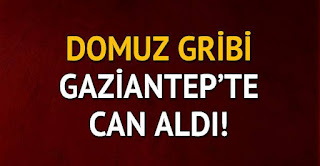 domuz gribi gaziantepte 3 can aldı