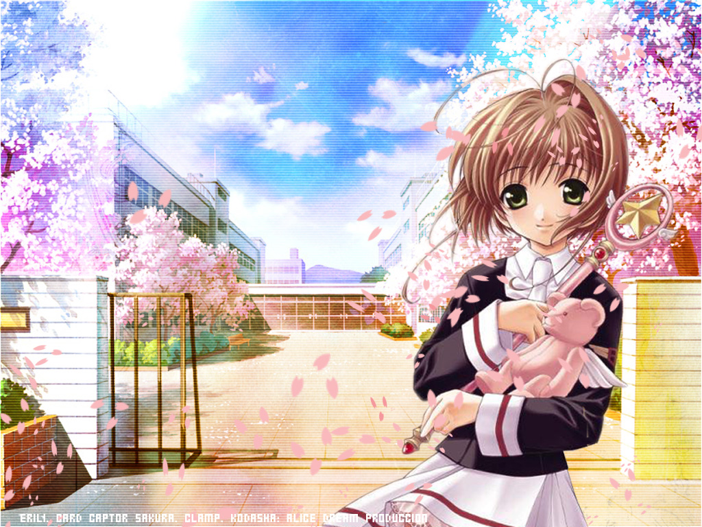 Cardcaptor Sakura Wallpaper Anime Girl