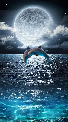 Lua e Golfinhos no Mar Wallpaper Celular