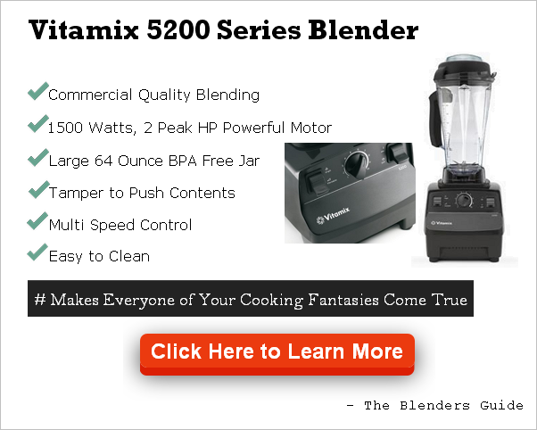 vitamix-5200-series-blender-review