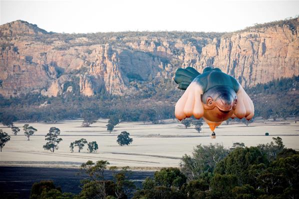 Foto Unik Balon Monster Raksasa di Langit Australia