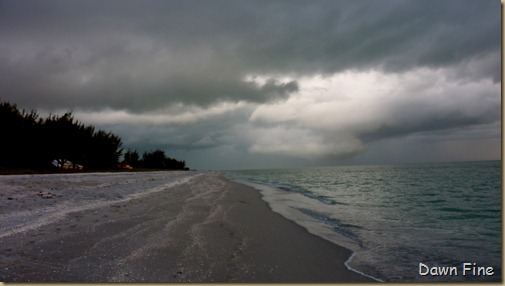 captiva evening_014