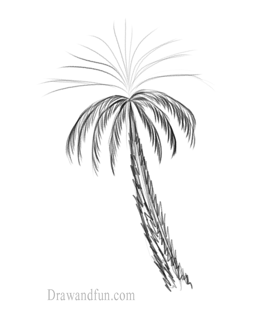 How to Draw a Palm Tree | Easy Beginner Art Tutorial - Art by Ro