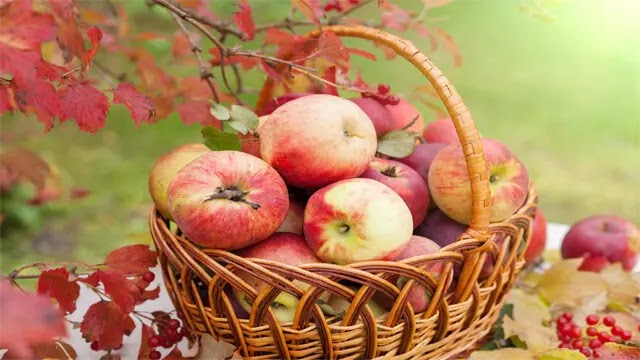 ماذا يحدث في أجسامنا إذا أكلنا الكثير من التفاح؟