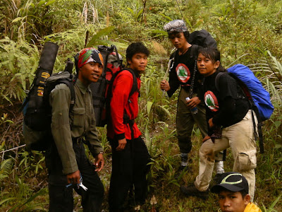 Gunung Mekongga