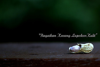 http://blog.mohdisa.com/wordless-wednesday-kacang-lupakan-kulit.html