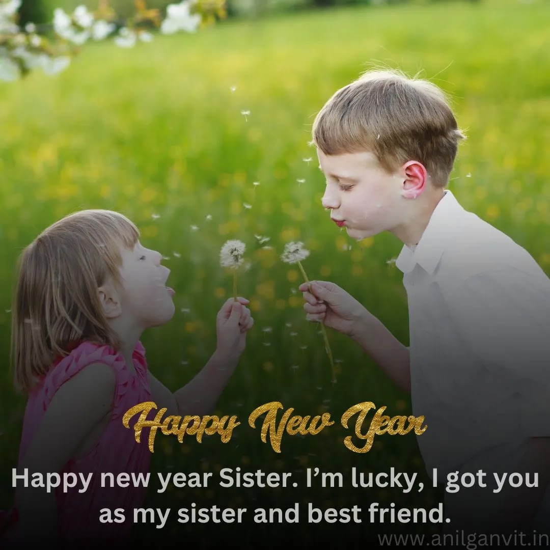 Happy New Year Wishes to Siblings