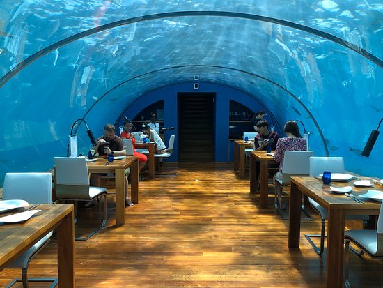 ithaa Undersea Restaurant