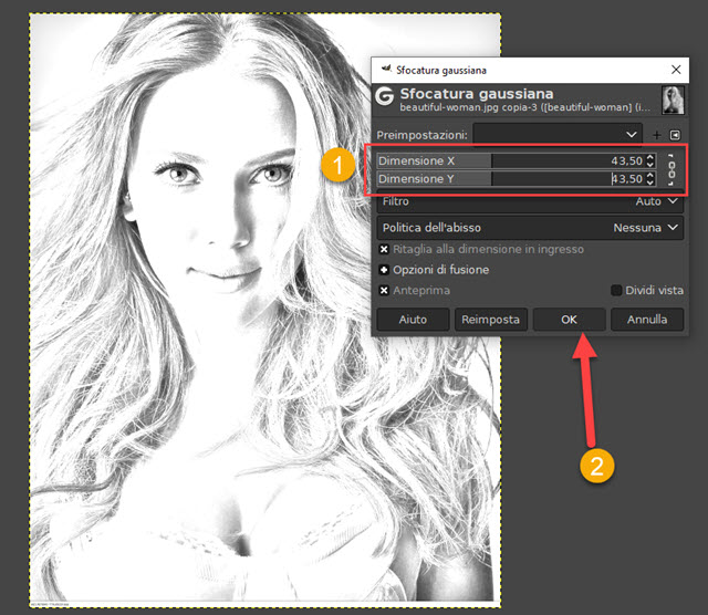 applicare la sfocatura gaussiana