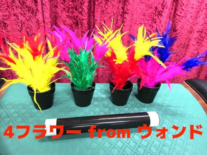 Four Flowers from Wand INR 1199