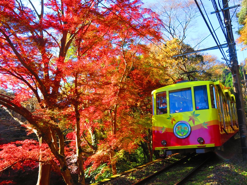 高尾山楓葉電車