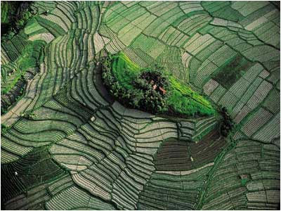 Subak, Bali