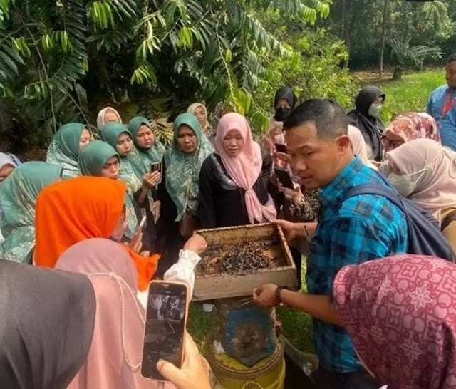 Budidaya Lebah Trigona Miliki Nilai Ekonomis Tinggi