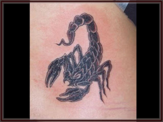 Zodiak Tattoos Gallery - Scorpio Tattoo