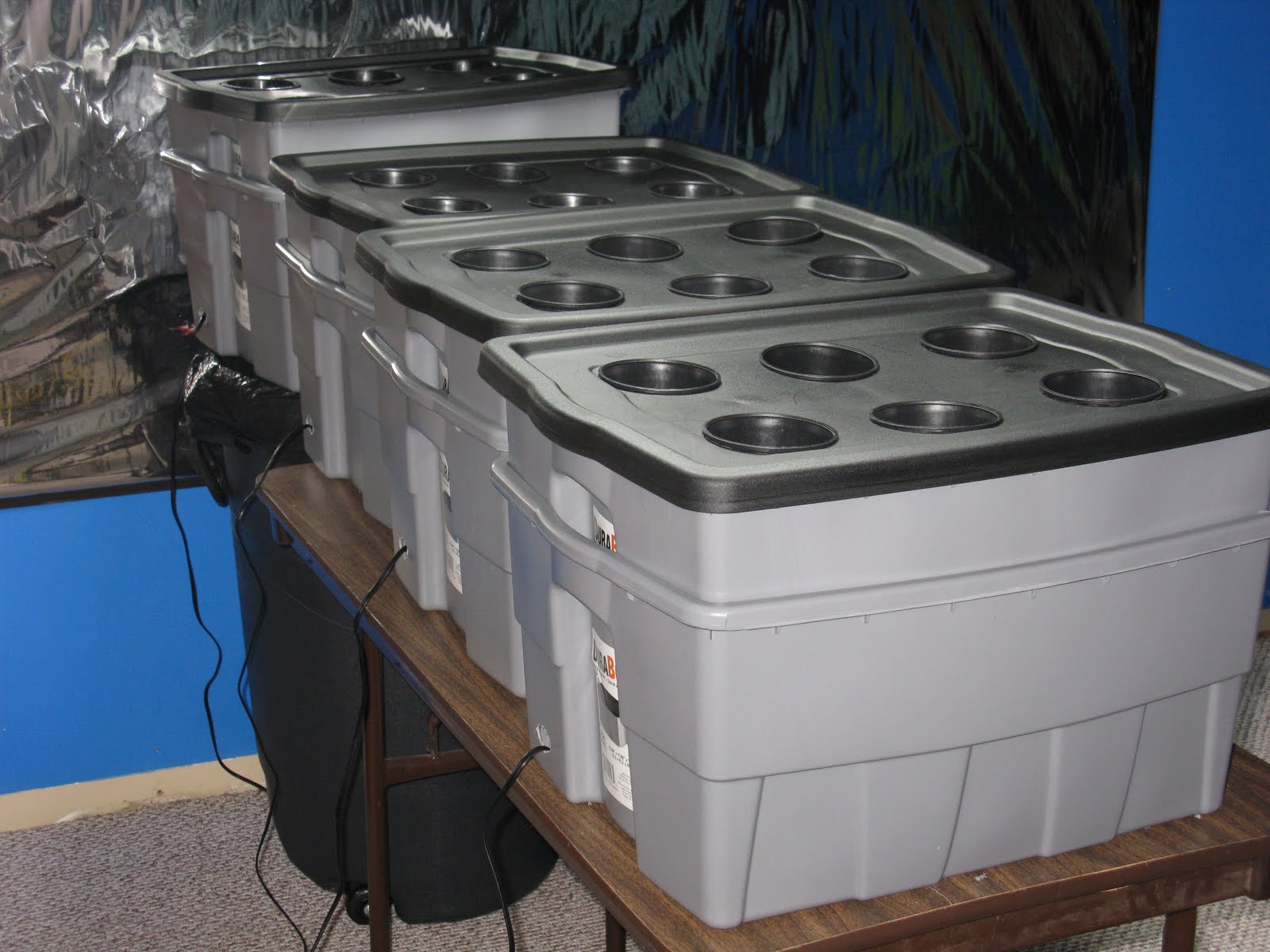 My Green Blender Blog: Deep Water Culture Hydroponics Build Parts List