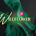  Maja Salvador Sizzles As The Avenging Lily In 'Wildflower', The Number One Show In Its Slot Before The Early Evening Newscast