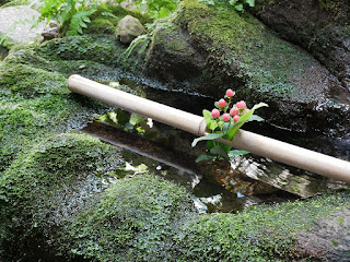 金沢　長町武家屋敷跡　野村家